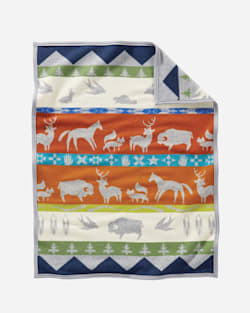 Shared Paths Crib Blanket | Pendleton