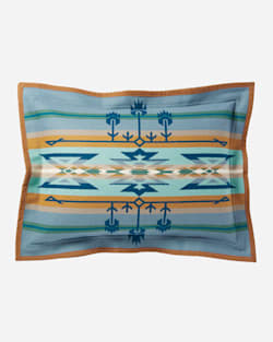 STAR WATCHERS SHAM IN BLUE image number 1