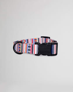 TAMIAMI ADVENTURE DOG COLLAR IN TAMIAMI image number 1