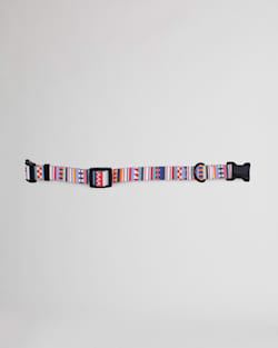 ALTERNATE VIEW OF TAMIAMI ADVENTURE DOG COLLAR IN TAMIAMI image number 2