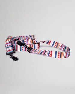 TAMIAMI ADVENTURE DOG LEASH IN TAMIAMI image number 1