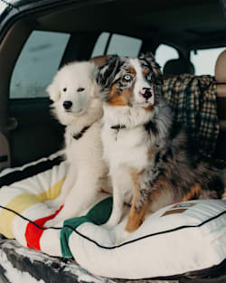 GLACIER NATIONAL PARK PET BED - NAPPER image number 2