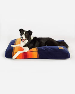 Pendleton national park dog bed hot sale