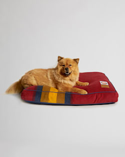 ZION NATIONAL PARK DOG BED IN ZION image number 1