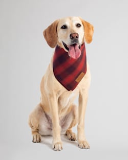 ALTERNATE VIEW OF PET BANDANA 3PK IN CRESCENT LAKE/GREY STEWART/RED OMBRE image number 3