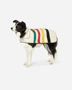 GLACIER NATIONAL PARK DOG COAT IN GLACIER PARK IN SIZE LARGE image number 1