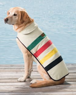 GLACIER NATIONAL PARK DOG COAT IN GLACIER PARK IN SIZE X-LARGE image number 4