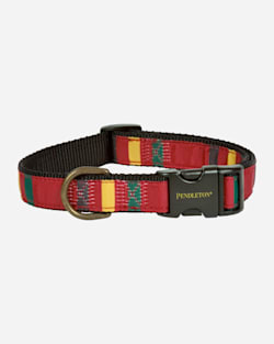 NATIONAL PARK HIKER DOG COLLAR IN RAINIER image number 1