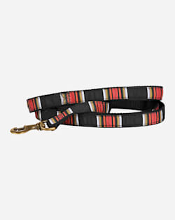 NATIONAL PARK HIKER DOG LEASH IN ACADIA image number 1