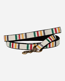 NATIONAL PARK HIKER DOG LEASH IN GLACIER PARK image number 1