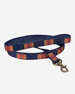 NATIONAL PARK HIKER DOG LEASH IN GRAND CANYON image number 1