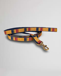 NATIONAL PARK HIKER DOG LEASH IN YELLOWSTONE image number 1