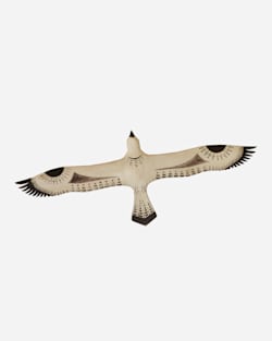 FLYING OSPREY IN WHITE/CHOCOLATE image number 1