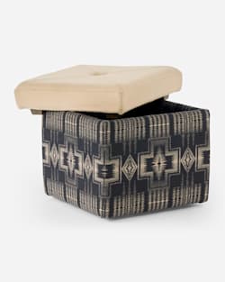 ADDITIONAL VIEW OF FANNIE KAY STORAGE OTTOMAN IN HARDING BLACK/BUCKSKIN image number 2