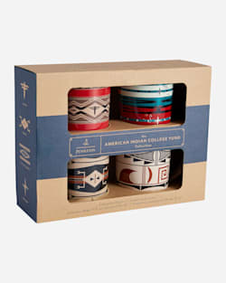 AMERICAN INDIAN COLLEGE FUND MUGS image number 1