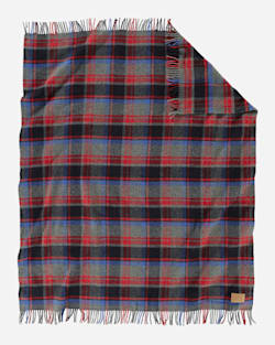 ALTERNATE VIEW OF MOTOR ROBE THROW WITH CARRIER IN BROOKINGS image number 2
