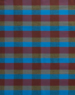 ALTERNATE VIEW OF UMATILLA BY THE YD IN COBALT MULTI CHECK image number 2