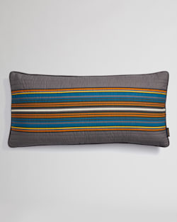 OLYMPIC NATIONAL PARK QUILTED HUG PILLOW IN GRAY image number 1