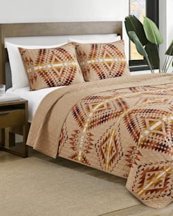 ALTERNATE VIEW OF MISSION TRAILS PRINTED COVERLET SET IN TAN MULTI image number 3