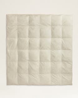 PERFECT WARMTH DOWN ALTERNATIVE COMFORTER IN SPIDER ROCK PATTERN image number 1