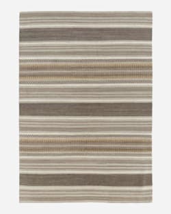 SERAPE STRIPE RUG IN DESERT image number 1