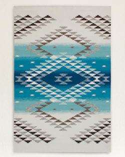 SALT CREEK RUG IN TURQUOISE image number 1