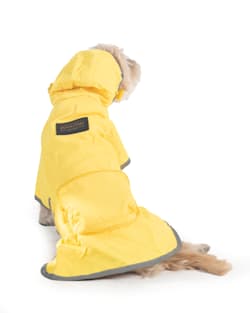 NATIONAL PARK DOG RAINCOAT IN YELLOW GLACIER STRIPE image number 1
