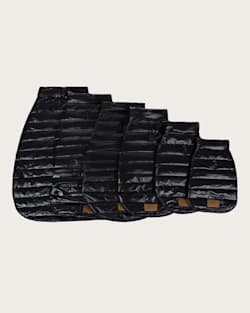ALTERNATE VIEW OF CENTURY HARDING PET PUFFER COAT IN BLACK HARDING image number 3