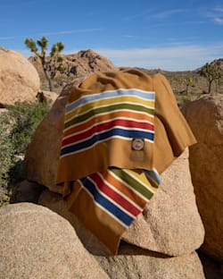JOSHUA TREE NATIONAL PARK BLANKET IN CAMEL SHOWN IN JOSHUA TREE PARK image number 6