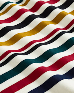 ALTERNATE VIEW OF NATIONAL PARK STRIPE FLANNEL SHEET SET IN MULTI image number 3