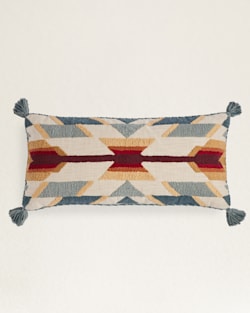 PRAIRIE SPRINGS HUG PILLOW IN TAN MULTI image number 1