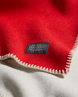 ALTERNATE VIEW OF TEXAS STATE FLAG SADDLE BLANKET IN TEXAS FLAG image number 3