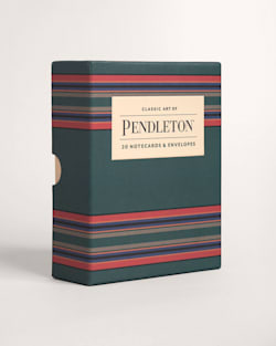 PENDLETON NOTECARDS IN STRIPE MULTI image number 1