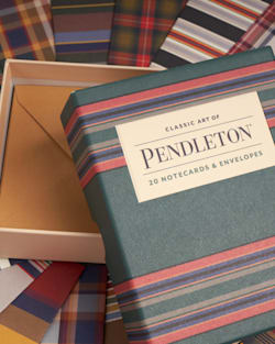 ALTERNATE VIEW OF PENDLETON NOTECARDS IN STRIPE MULTI image number 2