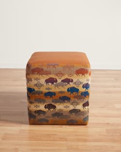 LEATHER/WOOL OTTOMAN IN SADDLE/BUFFALO image number 1