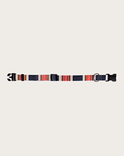 ALTERNATE VIEW OF ACADIA NATIONAL PARK ADVENTURE COLLAR IN ACADIA image number 2