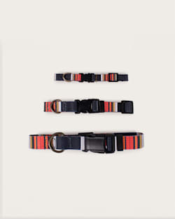 ALTERNATE VIEW OF ACADIA NATIONAL PARK ADVENTURE COLLAR IN ACADIA image number 3