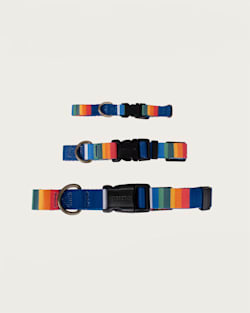 ALTERNATE VIEW OF CRATER LAKE NATONAL PARK ADVENTURE COLLAR IN CRATER LAKE image number 4