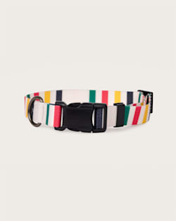 GLACIER NATIONAL PARK ADVENTURE COLLAR IN GLACIER image number 1