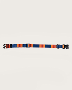 ALTERNATE VIEW OF GRAND CANYON NATIONAL PARK ADVENTURE COLLAR IN GRAND CANYON image number 2