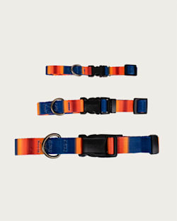 ALTERNATE VIEW OF GRAND CANYON NATIONAL PARK ADVENTURE COLLAR IN GRAND CANYON image number 3
