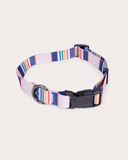 ALTERNATE VIEW OF YELLOWSTONE NATIONAL PARK ADVENTURE COLLAR IN YELLOWSTONE TAUPE image number 3
