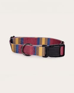 ZION NATIONAL PARK ADVENTURE COLLAR IN ZION image number 1