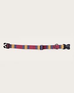 ALTERNATE VIEW OF ZION NATIONAL PARK ADVENTURE COLLAR IN ZION image number 2
