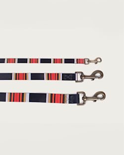 ALTERNATE VIEW OF ACADIA NATIONAL PARK ADVENTURE LEASH IN ACADIA image number 3