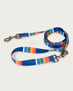 CRATER LAKE NATONAL PARK ADVENTURE LEASH IN CRATER LAKE image number 1