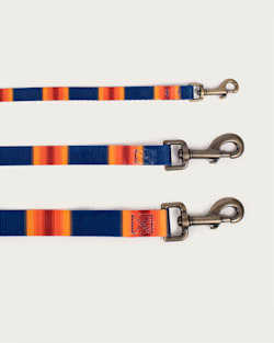 ALTERNATE VIEW OF GRAND CANYON NATIONAL PARK ADVENTURE LEASH IN GRAND CANYON image number 3