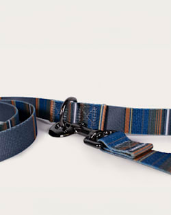 ALTERNATE VIEW OF OLYMPIC NATIONAL PARK ADVENTURE LEASH IN OLYMPIC image number 2
