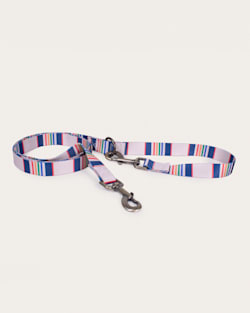 YELLOWSTONE NATIONAL PARK ADVENTURE LEASH IN YELLOWSTONE TAUPE image number 1