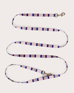 ALTERNATE VIEW OF YELLOWSTONE NATIONAL PARK ADVENTURE LEASH IN YELLOWSTONE TAUPE image number 3
